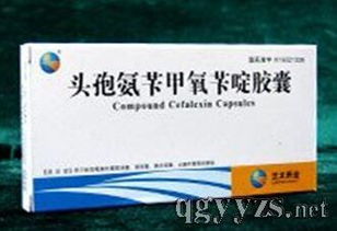 内蒙古兰太药业有限责任公司招商信息及公司介绍